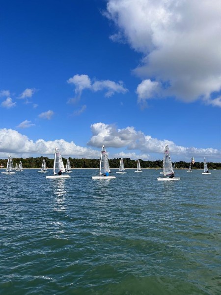 Rooster National Tour Netley 2024 Rooster National Tour Netley 2024